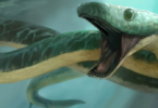De 10 mytiska och legendariska ormarna i världskulturen