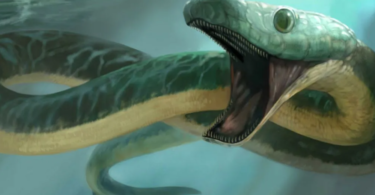 De 10 mytiska och legendariska ormarna i världskulturen